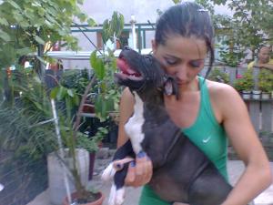 vand catei  AMSTAFF, 