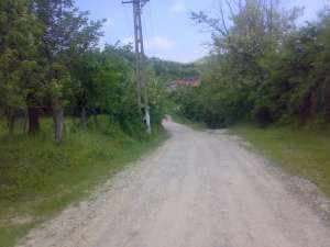 vand gospodarie (casa 4 cam,     magazie 2 cam ,     bucatarie ,     fanar 2 cam )din caramida ,    