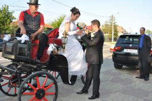 Porumbei albi pentru nunti si ocazii deosebite