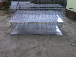 OUA DE CONSUM 0.15  RON,  INCUBATIE SI TRATAMENT 0,  3RON,  PUIDELA O ZI  2 RON PINA LA 6 SAPTAMINI 
