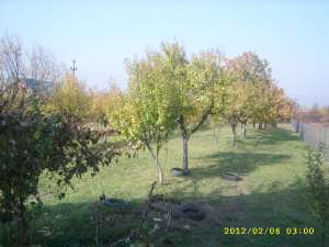 CASE de VINZARE