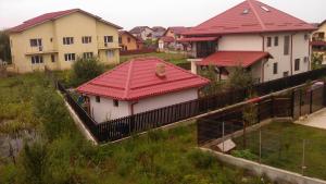 Vila Dudu-Rosu
