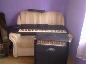 Vand Roland G 800,   Modul Yamaha TX 81Z,   Compact PEAVEY si Compact ROSS