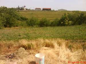 vand casa judetul giurgiu comuna greaca