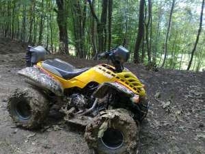 Urgent ATV Bashan 250cc