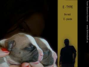Vand pui AmStaff