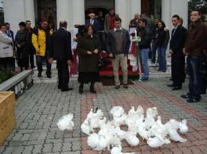 Inchiriez porumbei albi pentru nunti si botezuri  BACAU ONESTI 0767473620
