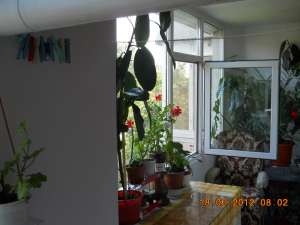 VAND APARTAMENT CU 3 CAMERE