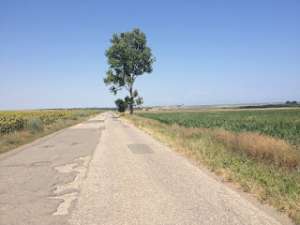 Vindem teren in Vadu [1]