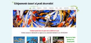 SITE-URI DE PREZENTARE