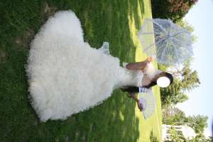 rochie de mireasa calin events model crina