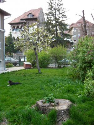 Vila Bulevardul Ferdinand