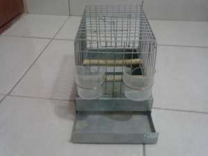 Vand canari roller din crescatorie propie ,  80 ron bucata.Relatii la telefon 0720762336. Vand coliv