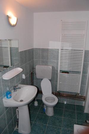 PRET ATRACTIV casa vila la munte complet mobilata si utilata