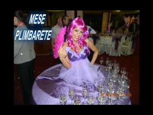 dj nunta,   dj botez,  mese plimbarete