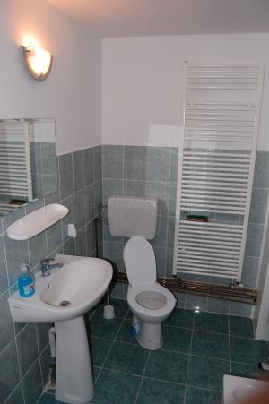 Casa noua 500 e /mp statiunea Izvorul Mures