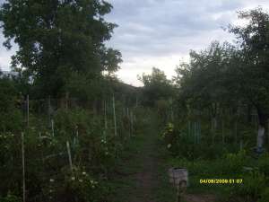 vand casa p+m sau schimb cu casa mai mica sau apart