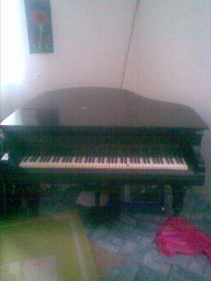 vand pian