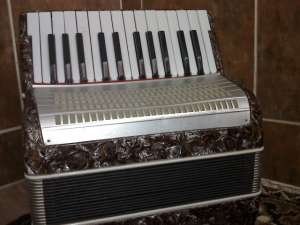 VAND ACORDEON MELODIA 12 BASI