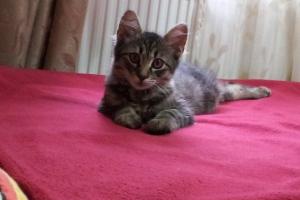 Leeloo - fetita frumoasa si cuminte