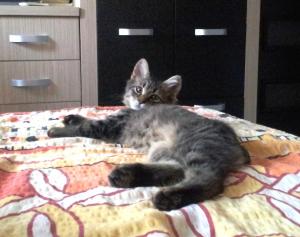 Leeloo - fetita frumoasa si cuminte