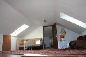 Vand urgent vila D+P+E+M in Jibou