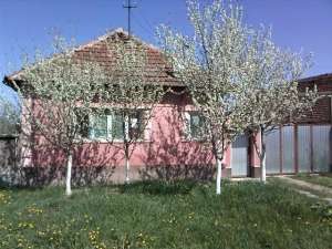 casa la tara