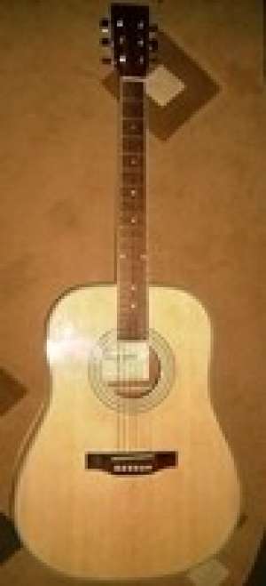 Vand Chitara folk Red Hill+husa Thomann