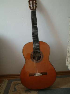 Chitara clasica Alhambra model 6P