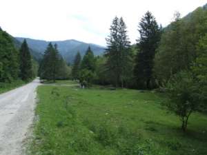 Vand teren pentru cabana langa rau,   in Muntii Fagaras