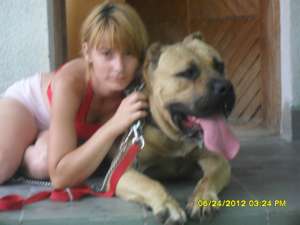 vand catei presa canario