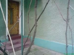 Vand casa in Dumbravita vatra
