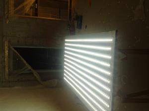 Frime Luminoase