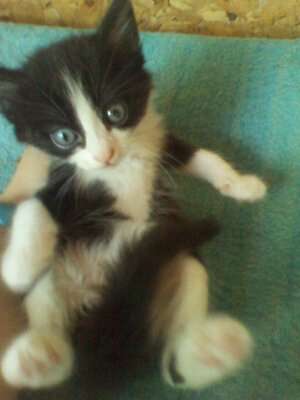 Cautam Urgent un camin!
