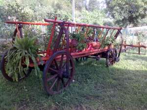 VAND CAR DIN LEMN RUSTIC