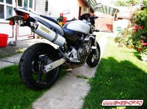 Honda hornet