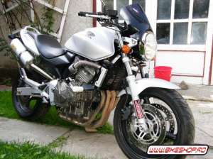 Honda hornet
