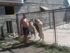 VAND PUI KANGAL DE 4 LUNI