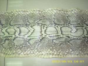 Vand piele sarpe (PITON) 3,  5 m lungime cu 0,  24 latime NEGOCIABIL