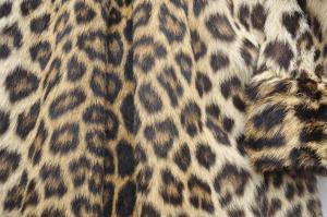 haina blana naturala leopard