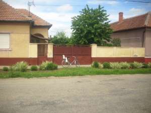 Vand casa in comuna Iratosu nr.36 jud. Arad,   28.000 euro negociabil,   3800 mp are cu tot cu gradi