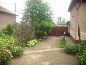 Vand casa in comuna Iratosu nr.36 jud. Arad,   28.000 euro negociabil,   3800 mp are cu tot cu gradi