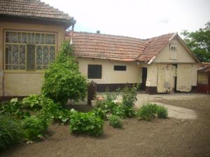 Vand casa in comuna Iratosu nr.36 jud. Arad,   28.000 euro negociabil,   3800 mp are cu tot cu gradi