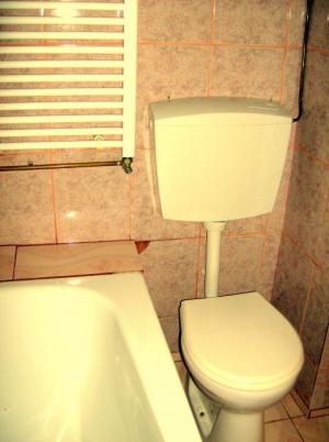 ULTRACENTRAL,   ofer spre inchiriere ap. 2 camere
