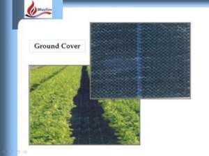 Folie AGROTEXTIL 1,  60 ron/mp-la  !
