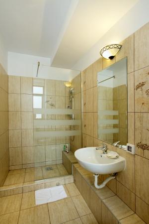 Pensiune Ambient 3* Brasov