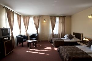 Pensiune Ambient 3* Brasov