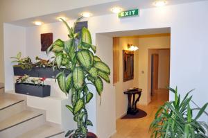 Pensiune Ambient 3* Brasov