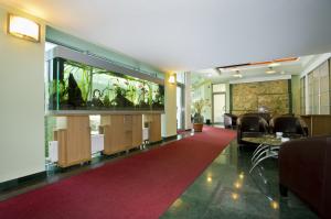 Hotel Ambient 4* Brasov