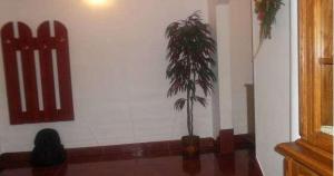 Apartament 3 camere,   cf I,   zona D-va N